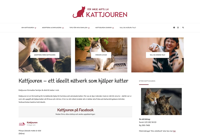Kattjouren website